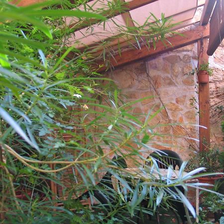 Bed and Breakfast The Garden Sferracavallo Exteriér fotografie